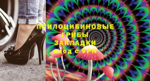 круглые Белокуриха