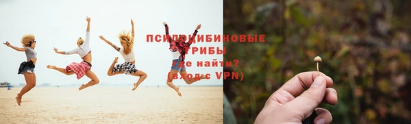 круглые Белокуриха