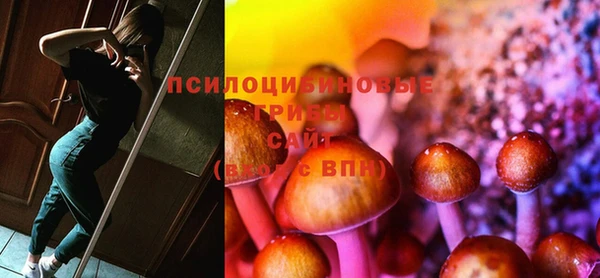 круглые Белокуриха