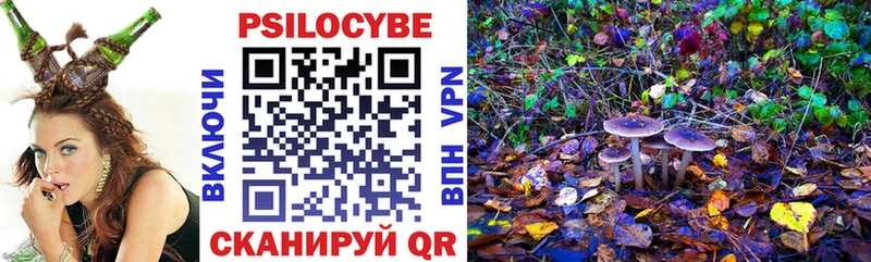 Галлюциногенные грибы Psilocybine cubensis  Брюховецкая 